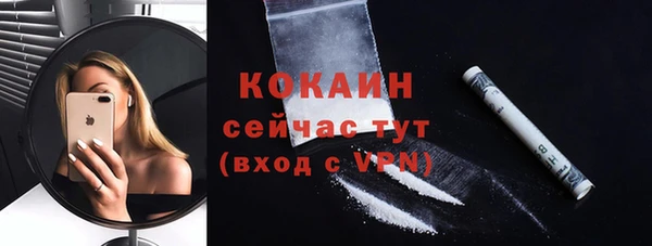 индика Балахна