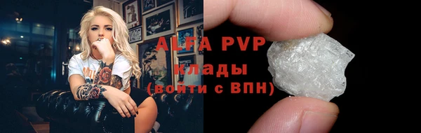 индика Балахна