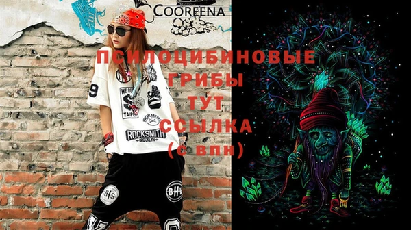 индика Балахна