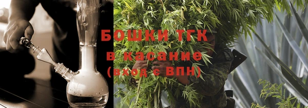 индика Балахна