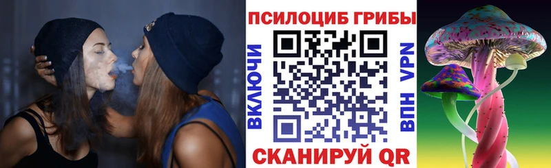 Купить где  Курлово  Псилоцибиновые грибы прущие грибы 